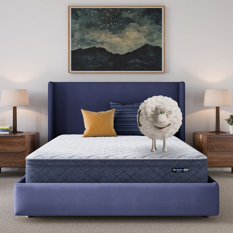 Five Star Mattress - Sleep to Go 10" Plush Pillow Top Mattress in a Box