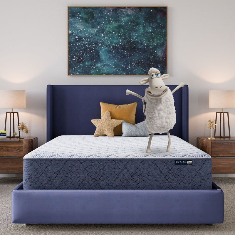 Five Star Mattress - Sleep to Go 12" Firm Mattress in a Box